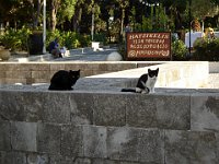 Foto 035